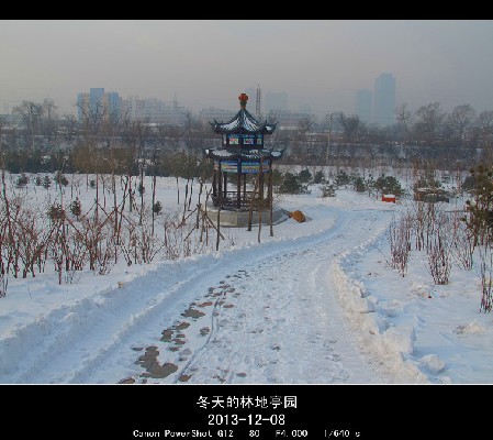 BigBull_2013.12.8 076_.jpg