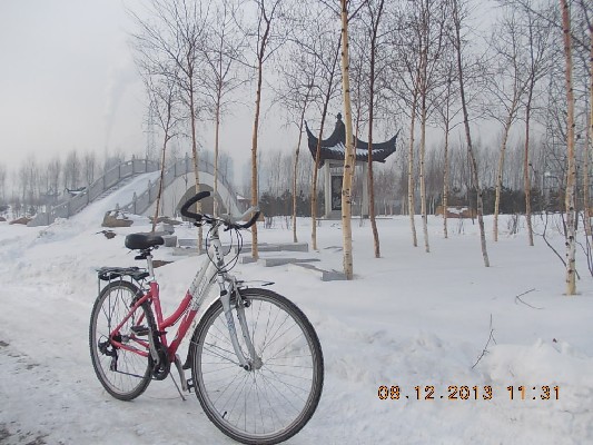 BigBull_2013.12.8 011.jpg