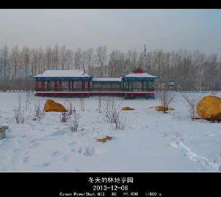 BigBull_2013.12.8 087_.jpg