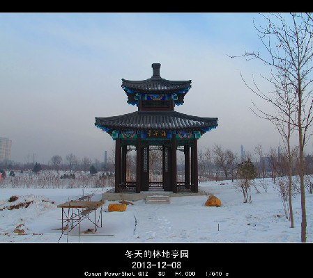 BigBull_2013.12.8 097_.jpg