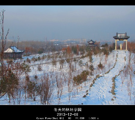 BigBull_2013.12.8 171_.jpg