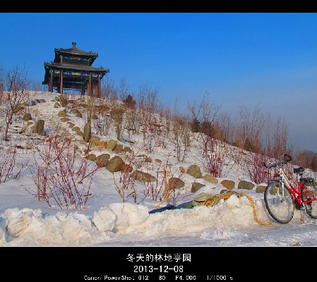 BigBull_2013.12.8 176_.jpg