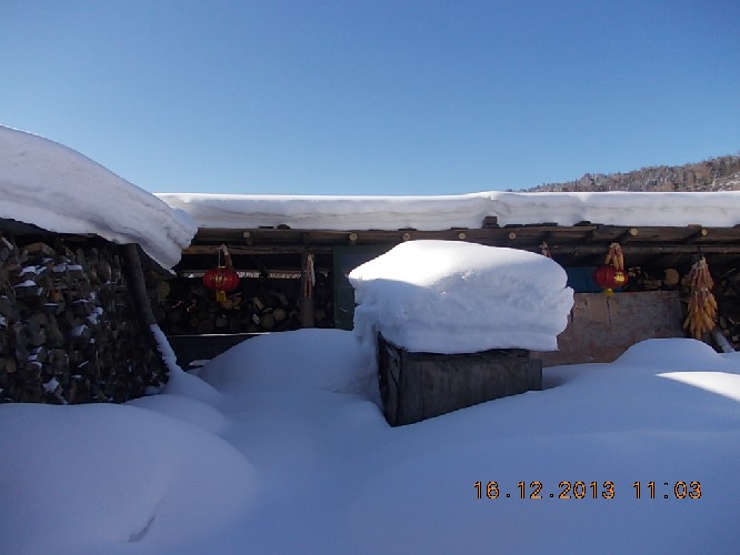 BigBull_2013.12.17 019.jpg
