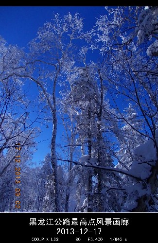 BigBull_2013.12.17 090_.jpg