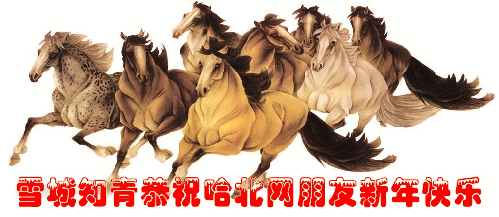 sy_45845056254_conew1.jpg