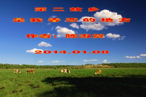 995506_304366_conew2.jpg