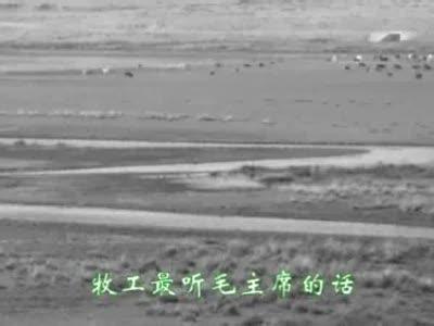u=1707553669,2353412811&fm=23&gp=0.jpg