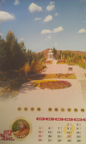 IMAG0888.jpg