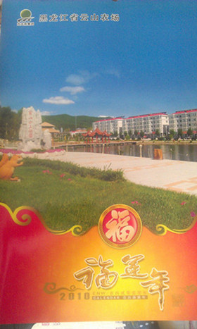 IMAG0887.jpg