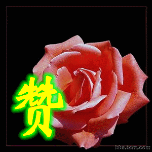 59.gif