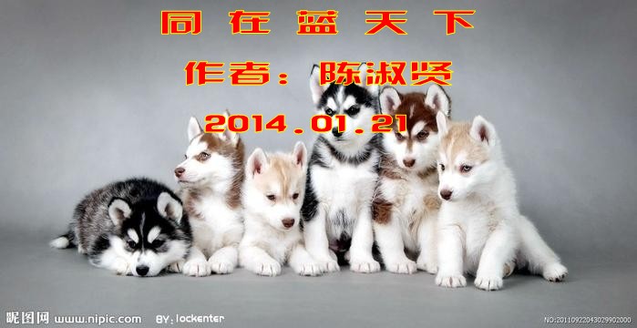 u=2796313564,780995743&fm=23&gp=0_conew1.jpg