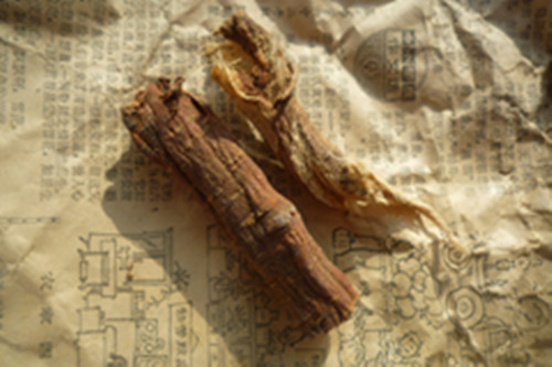 P1020103_.jpg