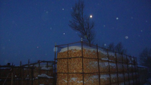 DSC09497_conew1.jpg