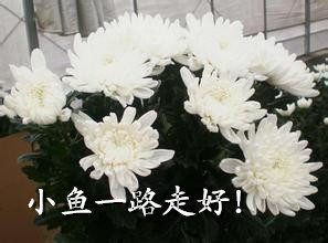 u=3847992288,3530626507&fm=15&gp=0_.jpg
