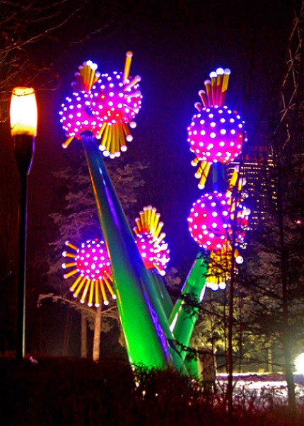 3-DSCN0464-3.jpg