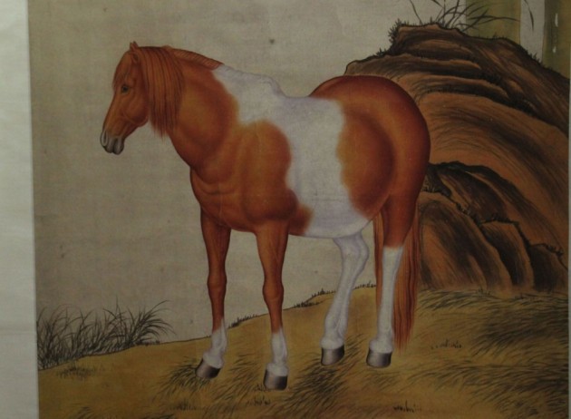 18_conew1.jpg