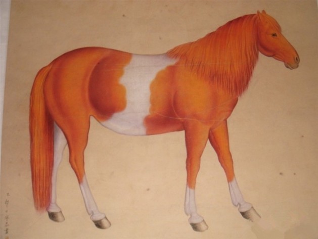 19_conew1.jpg