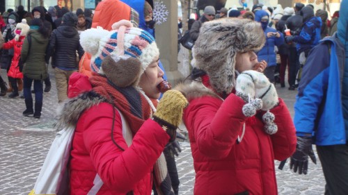 DSC09778_conew1.jpg