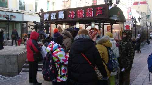 DSC09777_conew1.jpg