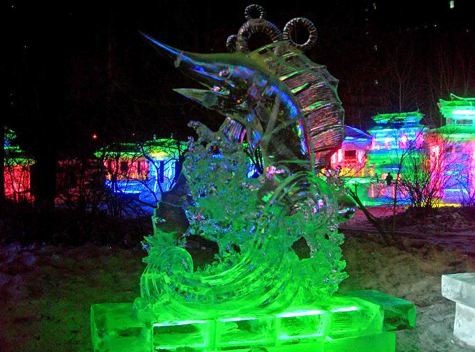 3-DSCN5037-3.jpg