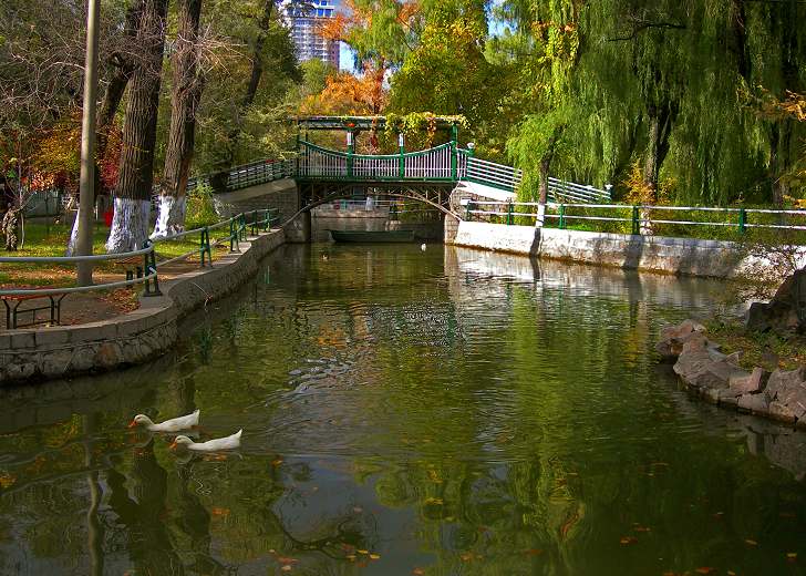 3-DSCN2739-3.jpg