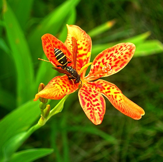 1-DSCN1894-3.jpg