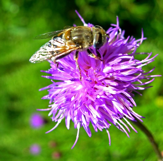 DSCN2080-3.jpg