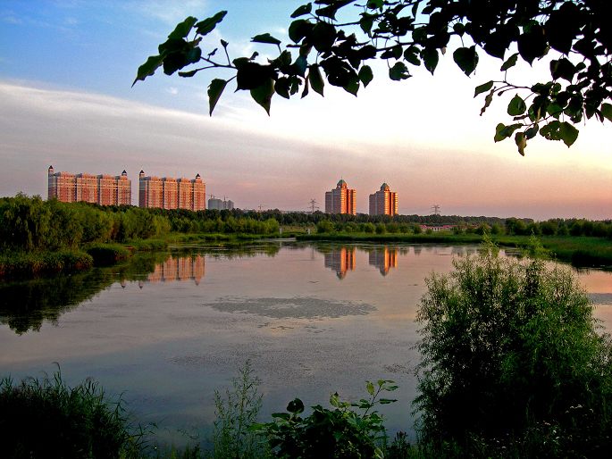 2-DSCN4362-3.jpg