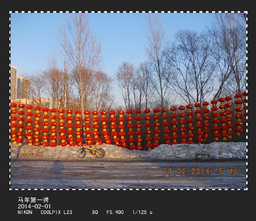 BigBull_2014.2.1 061__.jpg