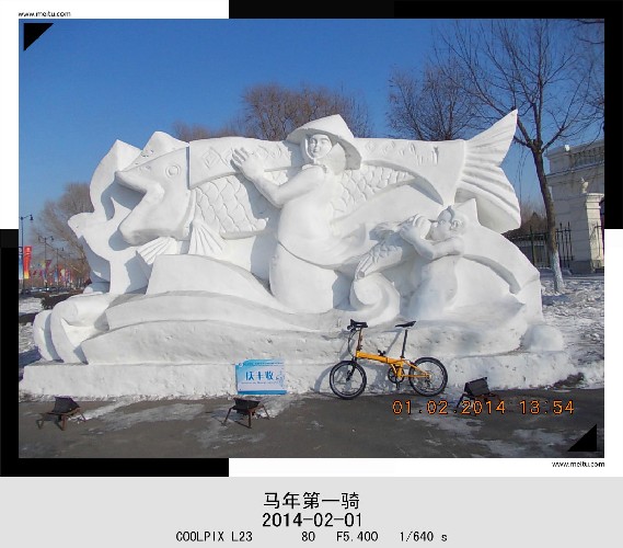 BigBull_2014.2.1 013_.jpg