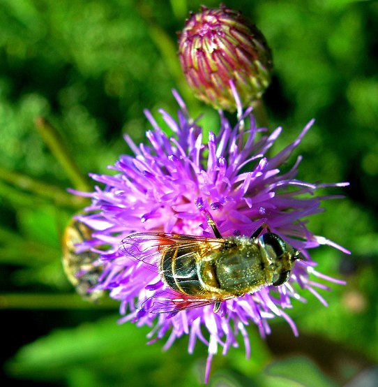 4-DSCN2068-3.jpg