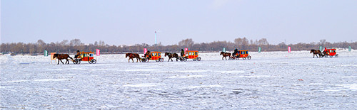 DSC_0114_.jpg