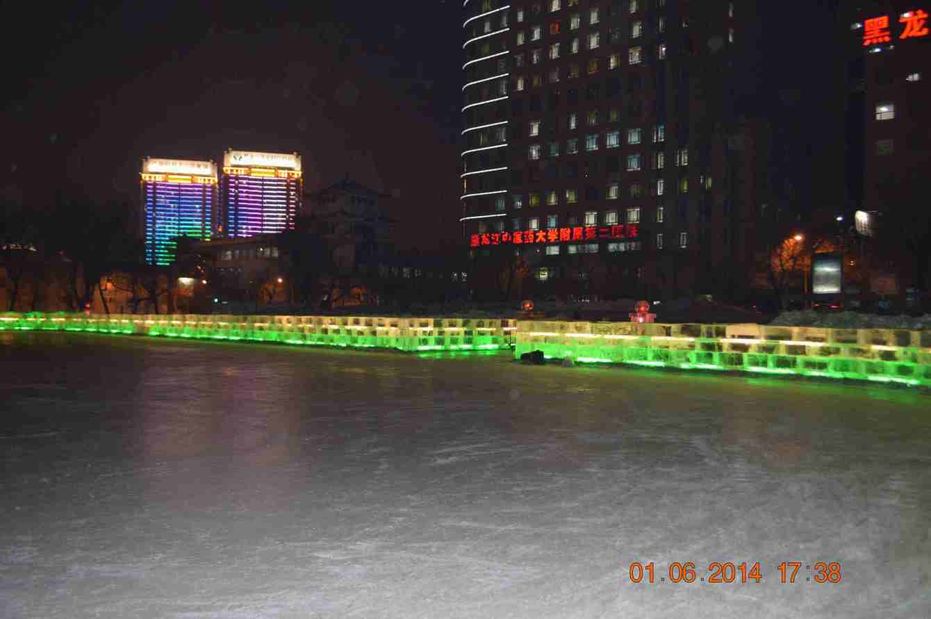 DSC_2110.JPG