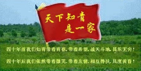 QQͼƬ20140216101536.jpg