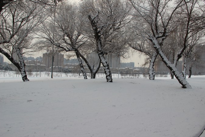 IMG_3353.JPG
