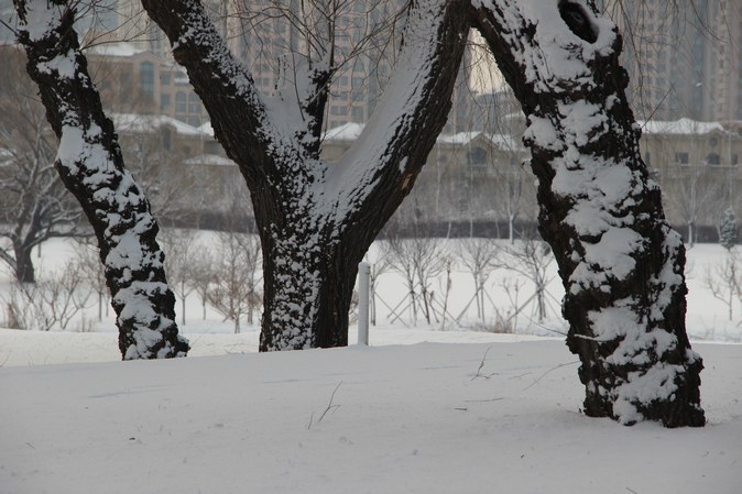 IMG_3354.JPG