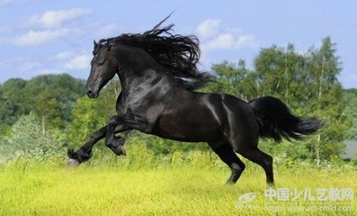 t019866ef3abdcad4b9.jpg