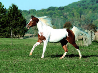 t01238101438aaef5fd.jpg