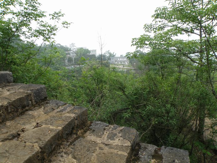 P6030386.JPG
