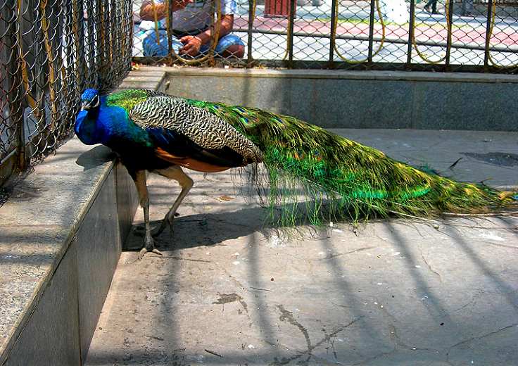 0-DSCN7350-3.jpg