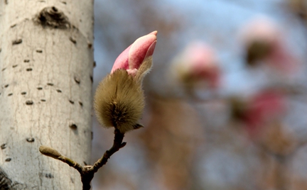 IMG_6920__.jpg