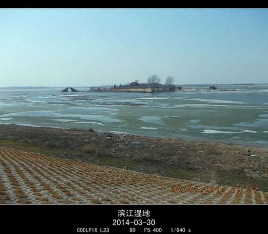 2014.3.30 084_.jpg