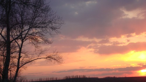 DSC01418_conew1.jpg