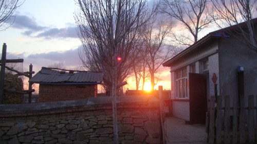 DSC01413_conew1.jpg