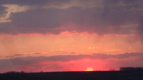 DSC01440_conew1.jpg