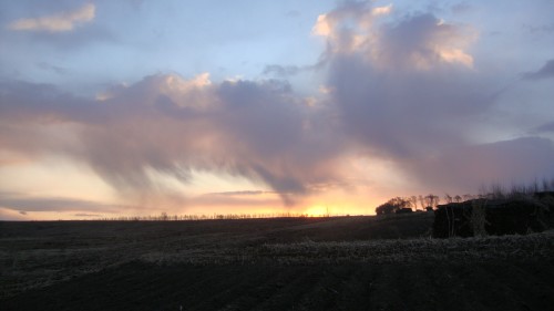DSC01463_conew1.jpg
