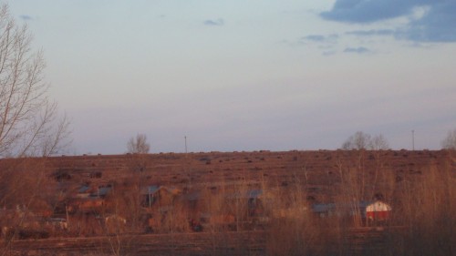 DSC01471_conew1.jpg