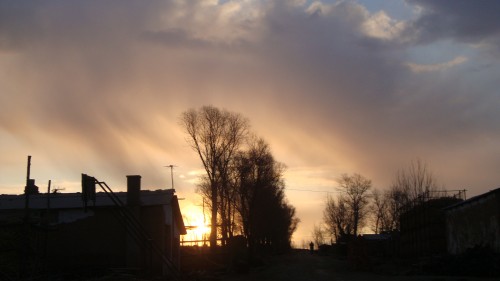 DSC01474_conew2.jpg