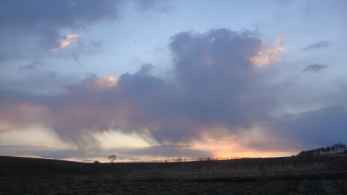 DSC01459_conew1.jpg