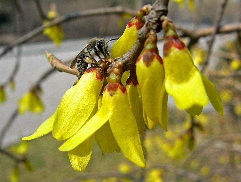 1-DSCN6698-3.jpg